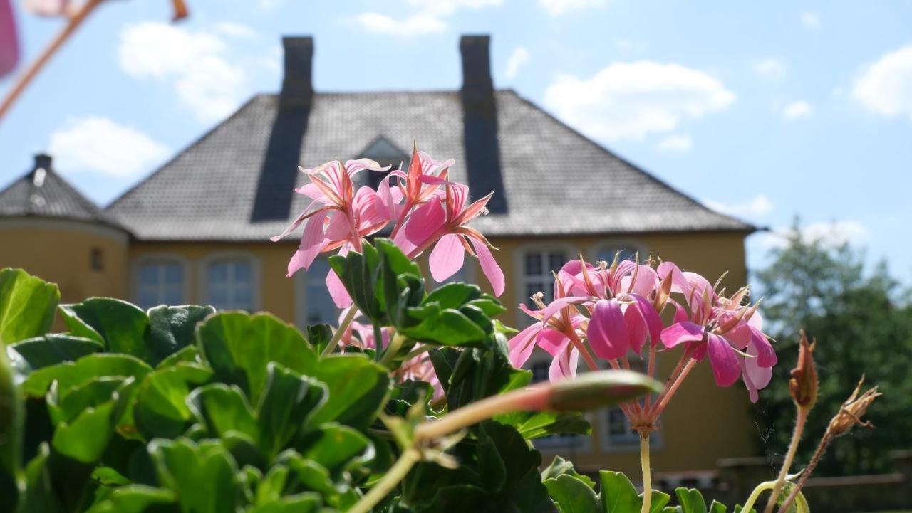 Hotel Schloss Diepenbrock Bocholt Exterior photo